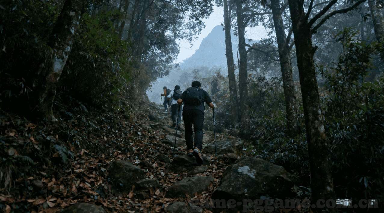 超级世界杯比赛视频直播-超级世界杯比赛视频直播，实时见证绿茵场上的激情与荣耀